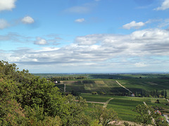 Blick über das Pfälzer Weinland von der Burg Landeck