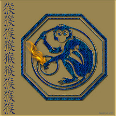 Year Of The Fire Monkey 4