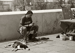 Metalworker with dog at Córdoba