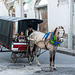 Horse drawn carriage in the street of Santa Clara, Cuba