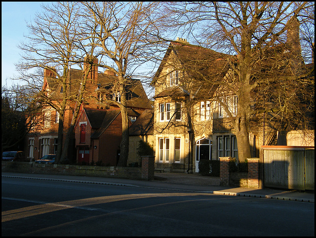 houses in the evening light