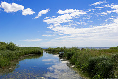 am Peipsi järv (Peipus-See), Blick nach Russland (© Buelipix)