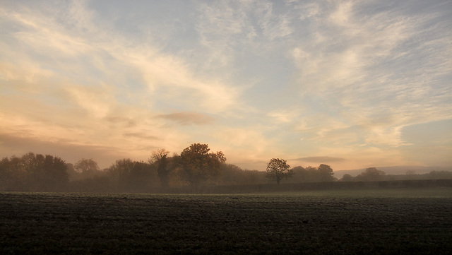 A light mist at dawn