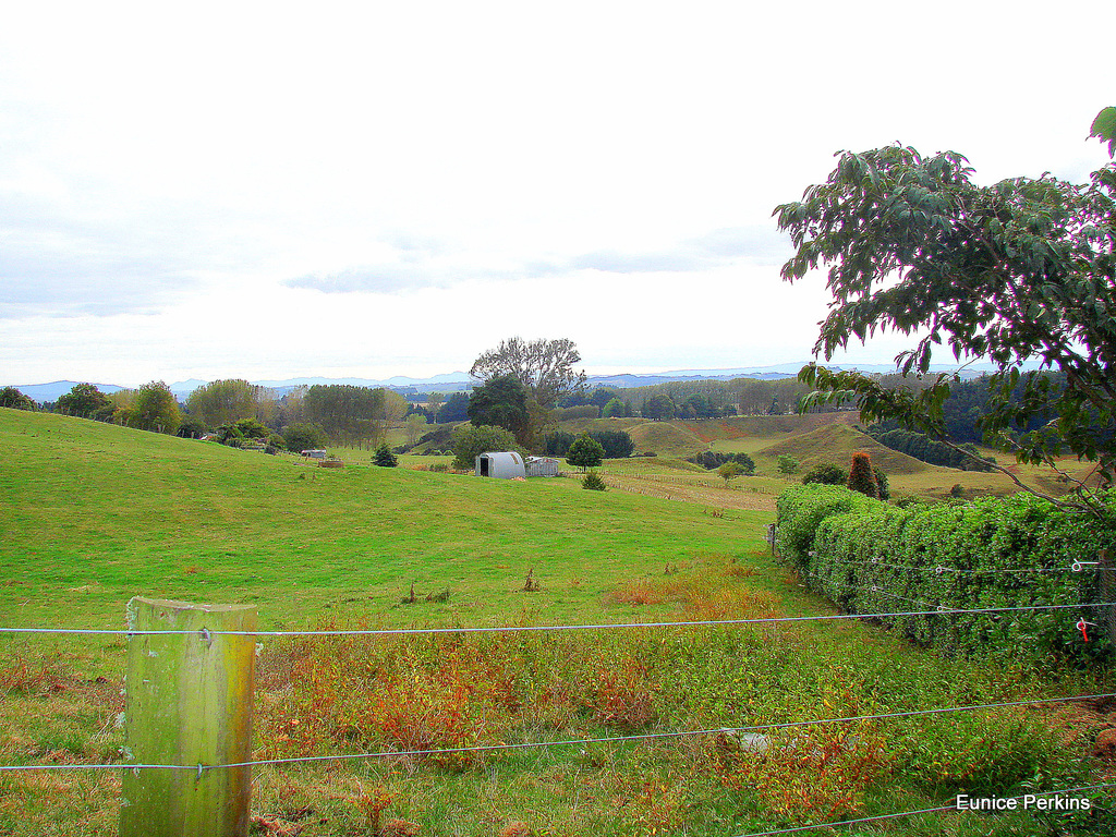 South Waikato Landscape.