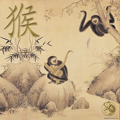Year Of The Fire Monkey 2