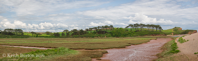 Devon Panorama