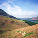 Loweswater from western slopes of Mellbreak (Scan from May 1991)