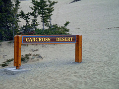 Carcross Desert