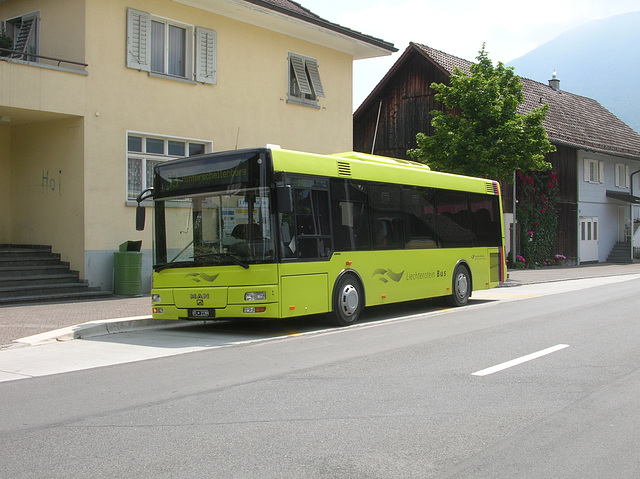 DSCN1907 Liechtenstein Bus Anstalt 6 (FL 2139) (operated by Ivo Matt A.G.)
