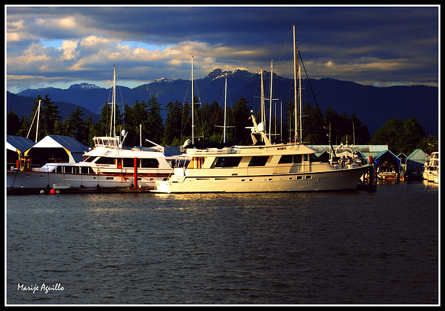 Marina de Vancouver