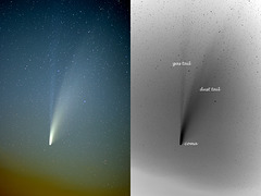 Comet Neowise (C/2020 F3) (view on black)