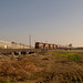 California HSR/BNSF freight Wasco Viaduct (1578)