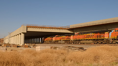 California HSR/BNSF freight Wasco Viaduct (1579)