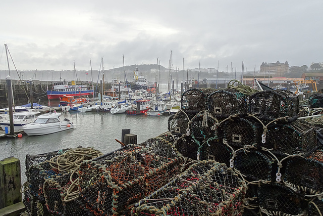 Lobster Pots In Scarborough Harbour