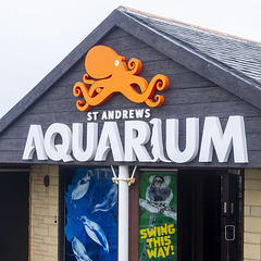 St Andrews Aquarium, 2023