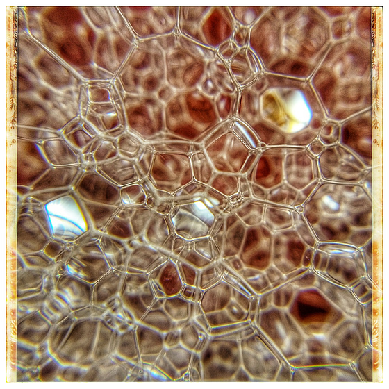 Bubbles Bubbles
