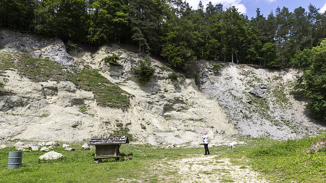 Altenbürg quarry 1