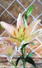 Tiger Lily on Tile Impressionistic- 043016