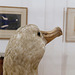 Grand albatros ou albatros hurleur (Diomedea exulans)
