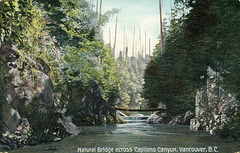 6050. Natural Bridge across Capilano Canyon, Vancouver, B.C.