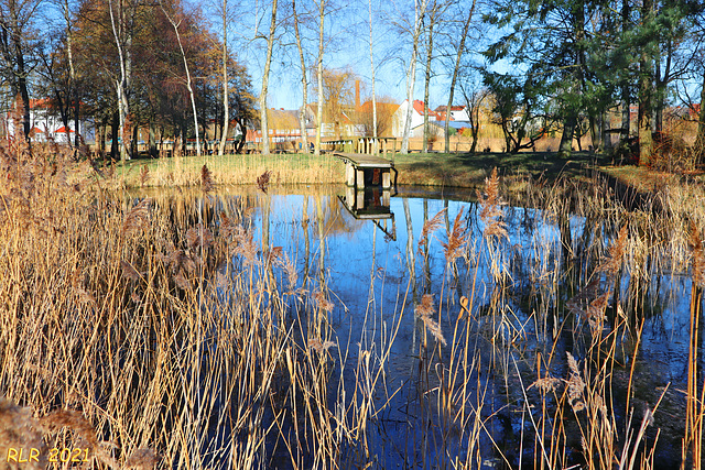 Kleiner Teich im Park