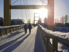 A Walk on the Bridge