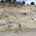 Ziswingen limestone quarry 3