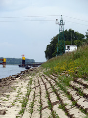 Wassernotstand im Rhein bei Plittersdorf