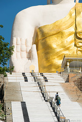 Buddha im Bau (© Buelipix)