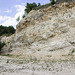 Ziswingen limestone quarry 5