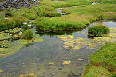 Iceland, Transparent water of Landmannalaugar River