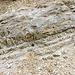 Ziswingen limestone quarry 6