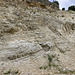 Ziswingen limestone quarry 8