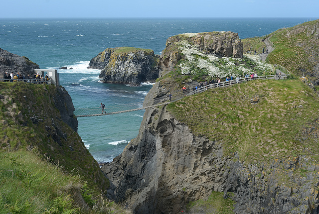 The Carrick-A-Rede rope bridge