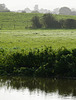 View from the River Parrett to St Peter & St Paul's Church, Muchelney