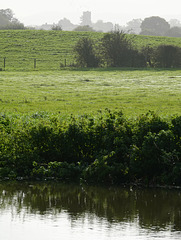 View from the River Parrett to St Peter & St Paul's Church, Muchelney