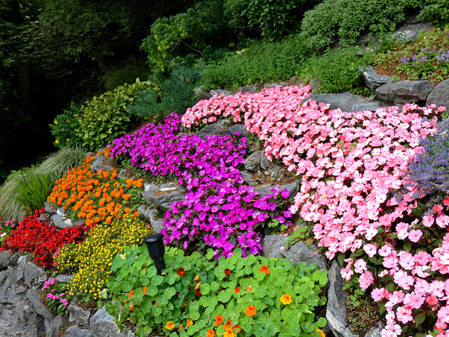 Villa Carlotta Gardens- A Colourful Flower Bed