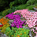 Villa Carlotta Gardens- A Colourful Flower Bed