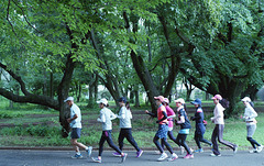 Group of joggers