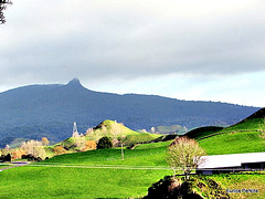 Whakamaru View.