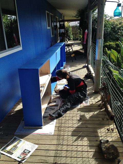 Nelly painting the new veranda cupboard
