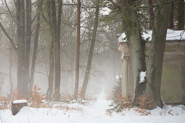 05/50 - Waldfriedhof Stahnsdorf