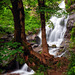 Todtnauer Wasserfall (PiP)