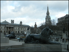 Trafalgar lions
