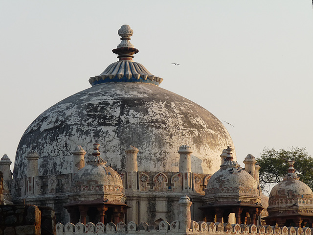 Delhi- Dome of Isa Khan's Tomb
