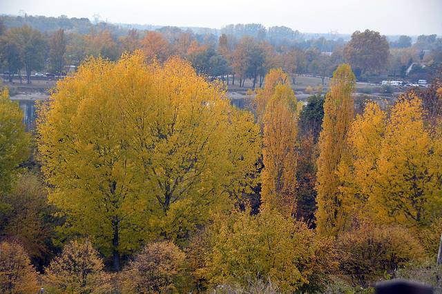Herbststimmung in Breisach am Rhein