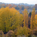 Herbststimmung in Breisach am Rhein