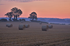 Twilight of the Harvest Dawn