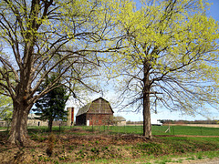The old barn.