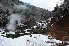 Japan, Jigokudani Yaen-Kōen Snow Monkey Park, Hot spring Korakukan Guest House